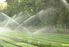 Coongoolalandscaping-water-management-and-drainage-17.jpg; ?>